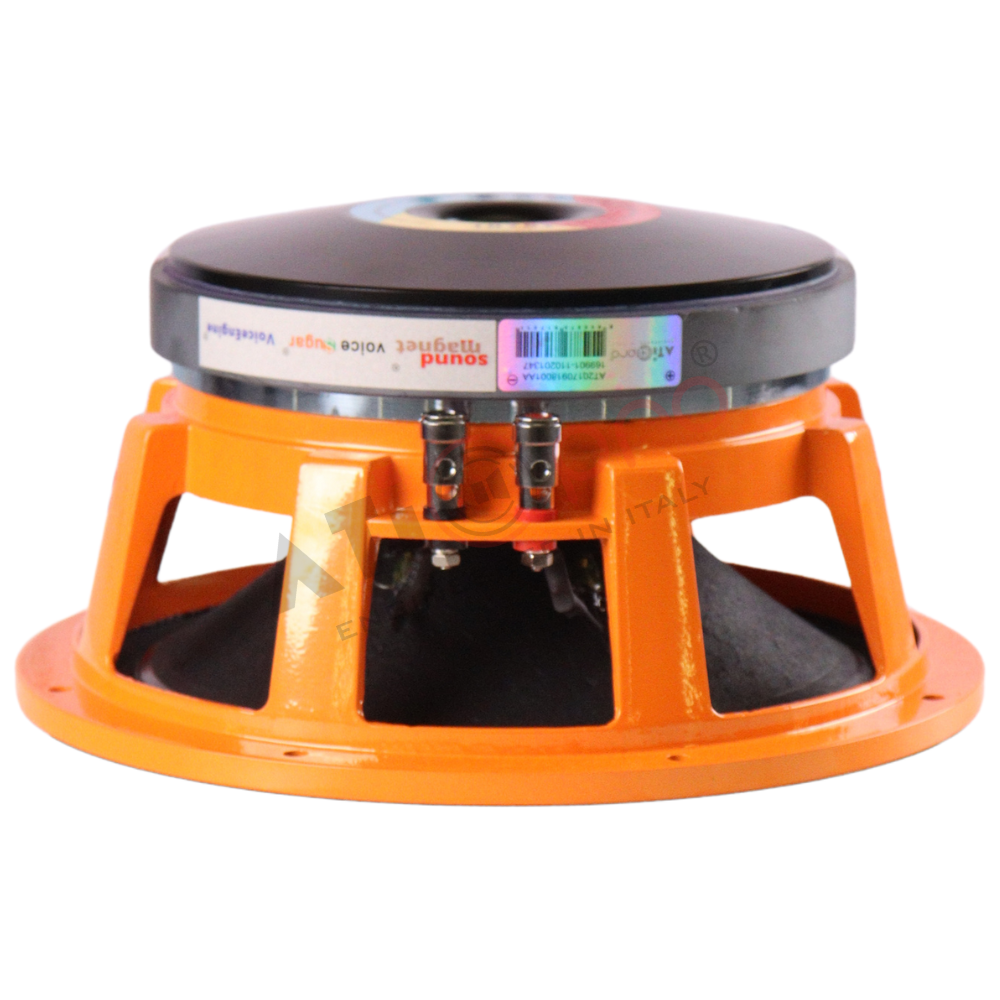 Ferrite DJ Speaker 10 Inch 425 Watt Model 1076Y