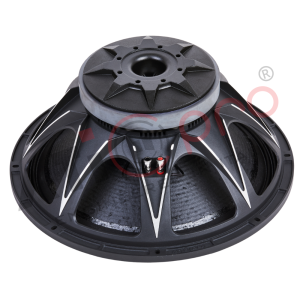 Ferrite DJ Speaker 18 Inch 1200 Watt Model YX18X600