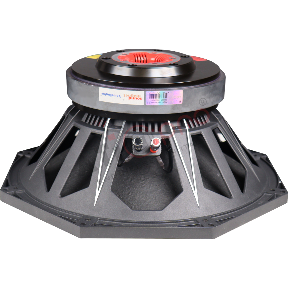 Ferrite DJ Speaker 15 Inch 1100 Watt Model YX15X800HD