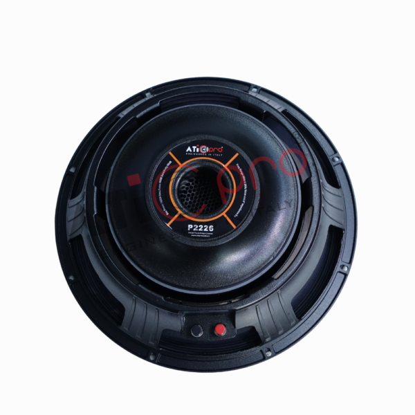 Ferrite DJ Speaker 15 Inch 800 Watt Model P2226