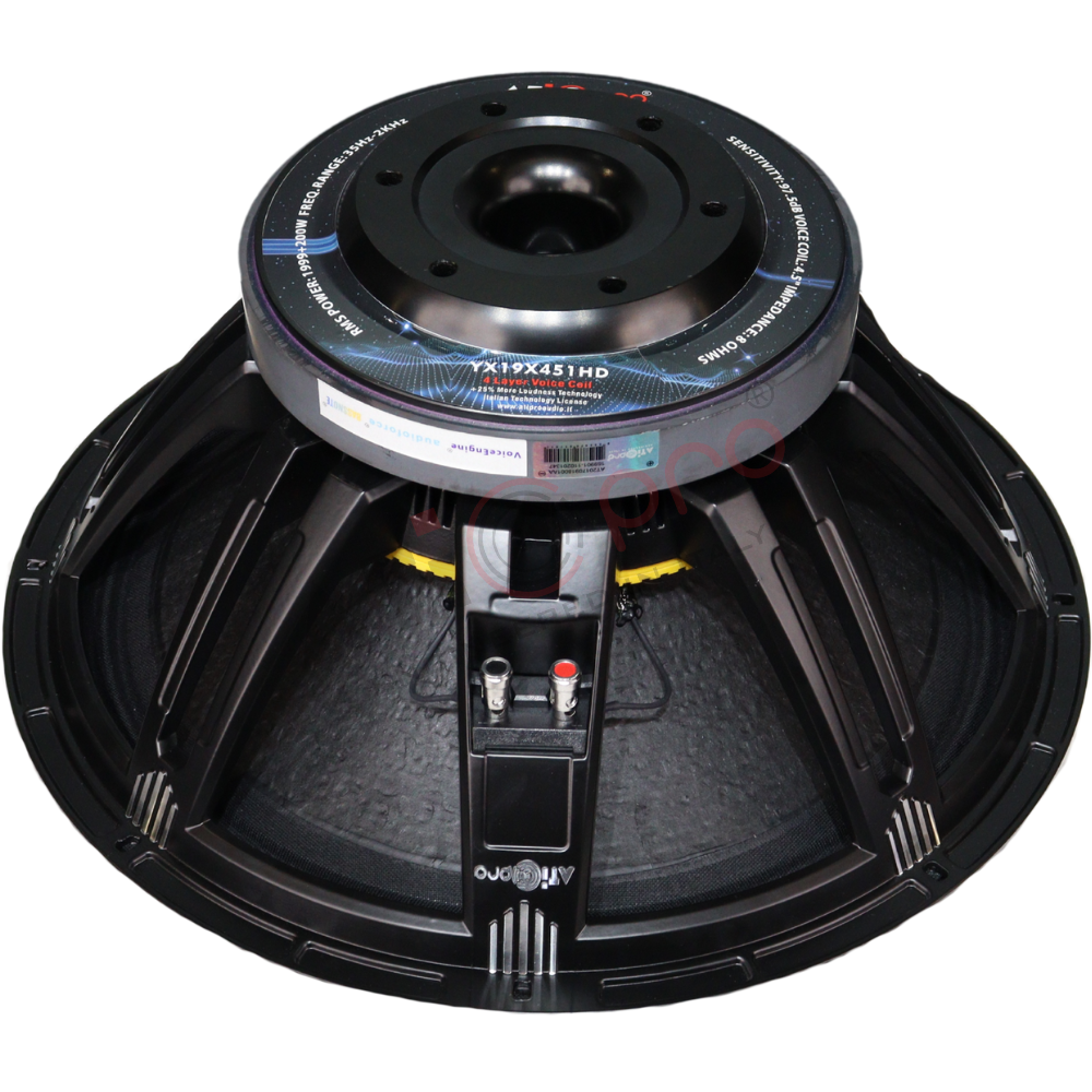 Ferrite DJ Speaker 19 Inch 1999+200 Watt Model YX19X451HD