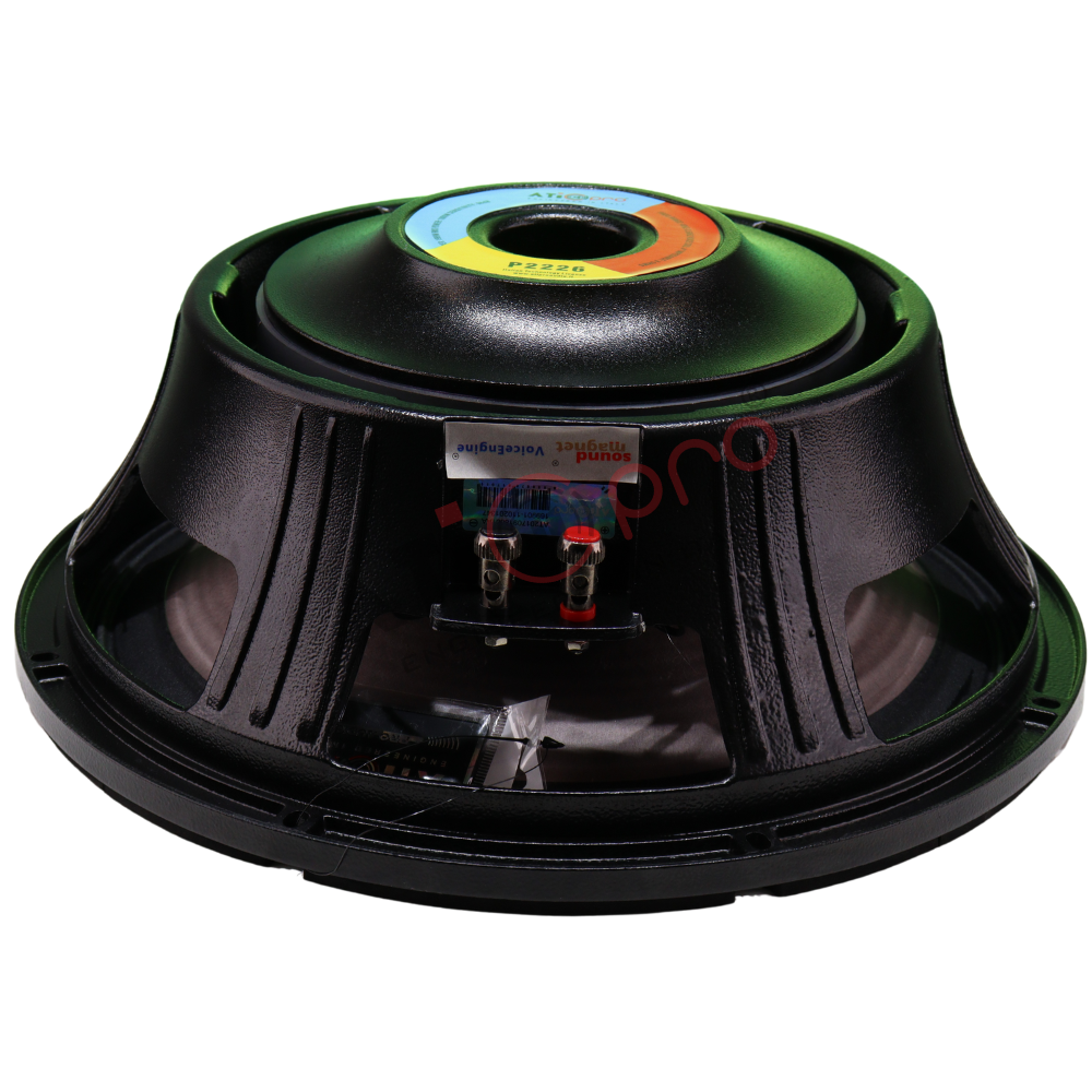 Ferrite DJ Speaker 15 Inch 1000 Watt Model P2226