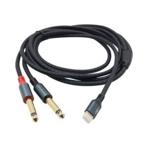 Type C to 2*6.35 Golden Pin Connector - Model A711A (2 Meter)