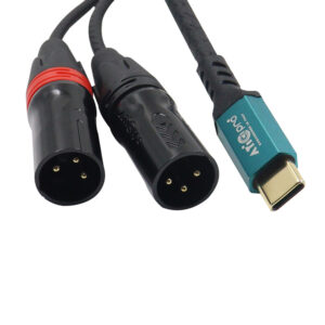 Type C to 2 XLR MALE Golden Pin Connector - Model A721A (2 Meter)