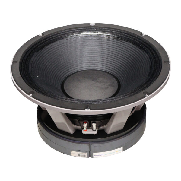 Ferrite DJ Speaker 18 Inch 1999+1200 Watt Model PD 1895 HD