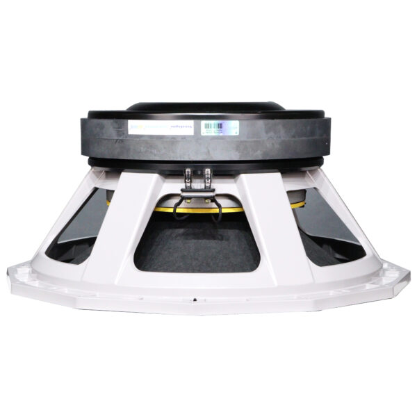 pppi Ferrite DJ Speaker 21 Inch 6000 Watt Model PD 2190 HD - Atipro Audio
